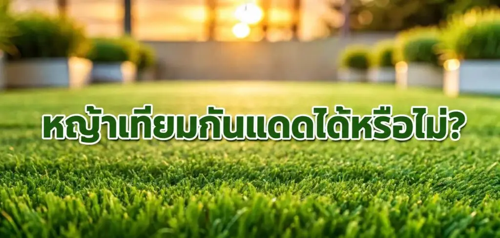 หญ้าเทียมกันแดดได้หรือไม่? 1 หญ้าเทียมกันแดดได้หรือไม่?
