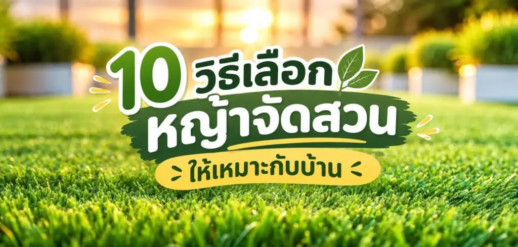 10 วิธีเลือกหญ้าจัดสวนให้เหมาะกับบ้าน 1 วิธีเลือกหญ้าจัดสวนให้เหมาะกับบ้าน