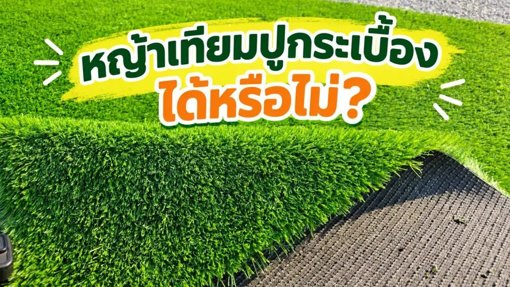 หญ้าเทียมปูกระเบื้องได้หรือไม่ ? 1 หญ้าเทียมปูกระเบื้องได้หรือไม่?